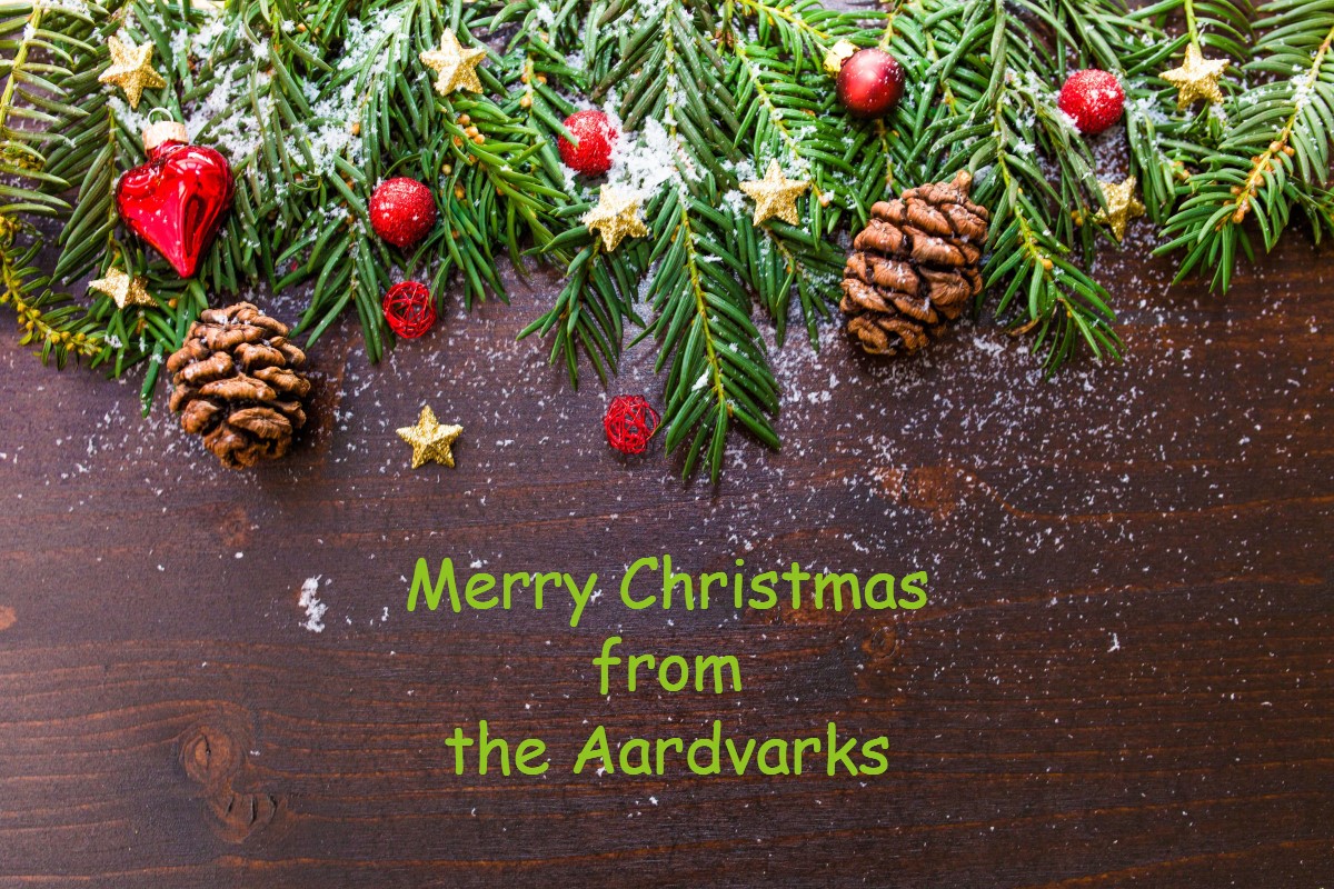Merry Christmas from the Aardvark Burrow